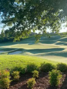 Golf Greens