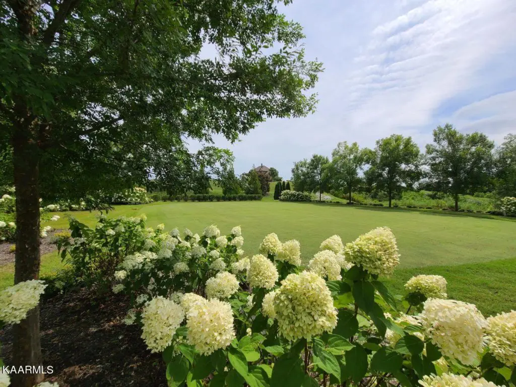 Image #11 for 167 Commodore Drive