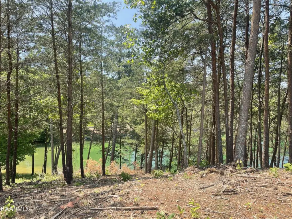 Elevation image #1 for 377 Beacon Court.
