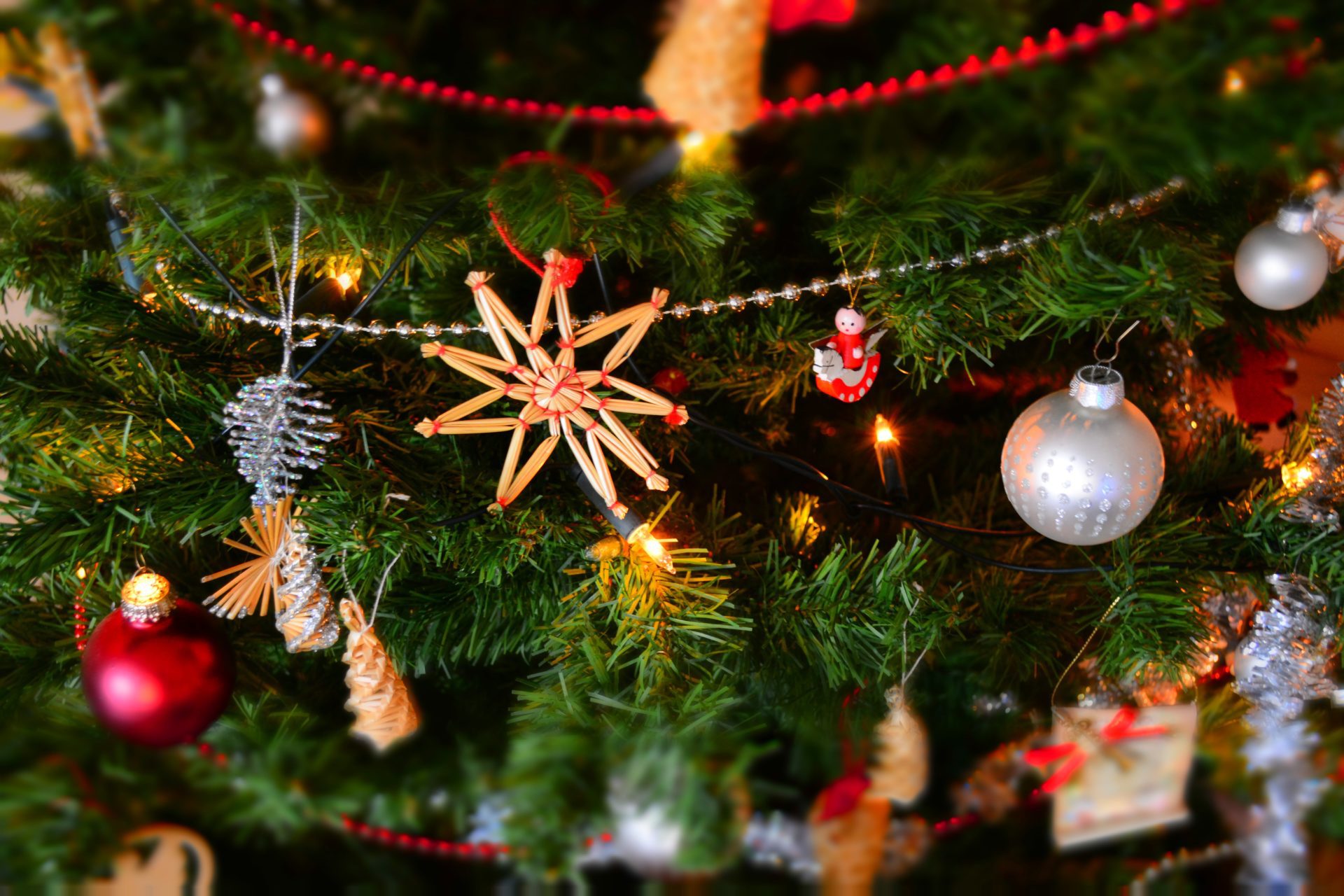 Embracing the Season: Holiday Events Near WindRiver